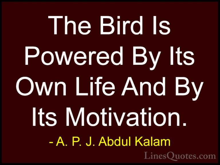 A. P. J. Abdul Kalam Quotes (6) - The Bird Is Powered By Its Own ... - QuotesThe Bird Is Powered By Its Own Life And By Its Motivation.