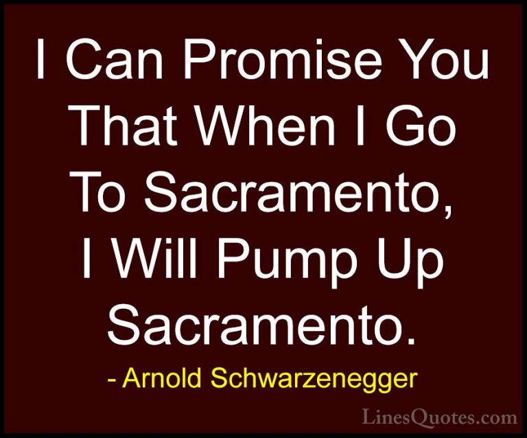 Arnold Schwarzenegger Quotes (13) - I Can Promise You That When I... - QuotesI Can Promise You That When I Go To Sacramento, I Will Pump Up Sacramento.