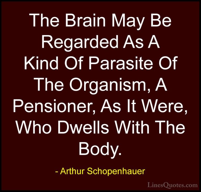 Arthur Schopenhauer Quotes (59) - The Brain May Be Regarded As A ... - QuotesThe Brain May Be Regarded As A Kind Of Parasite Of The Organism, A Pensioner, As It Were, Who Dwells With The Body.