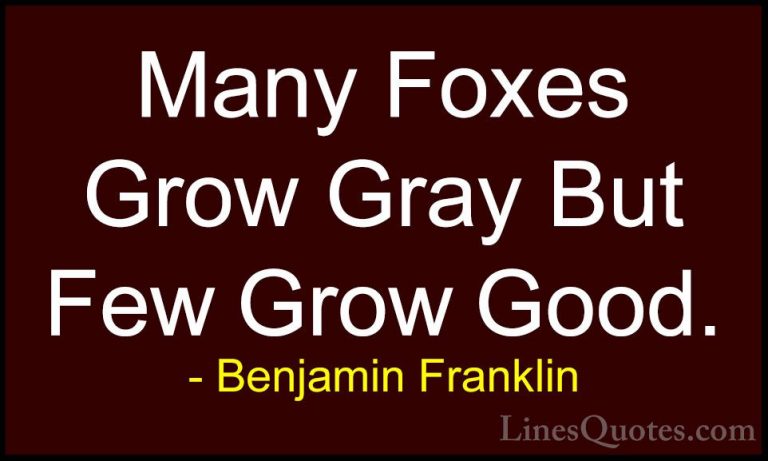 Benjamin Franklin Quotes (147) - Many Foxes Grow Gray But Few Gro... - QuotesMany Foxes Grow Gray But Few Grow Good.