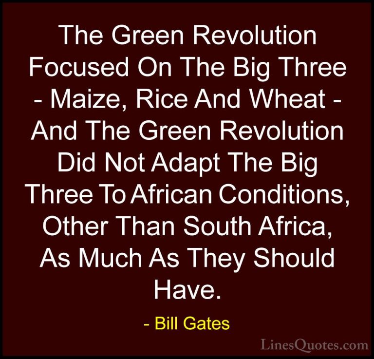 Bill Gates Quotes (221) - The Green Revolution Focused On The Big... - QuotesThe Green Revolution Focused On The Big Three - Maize, Rice And Wheat - And The Green Revolution Did Not Adapt The Big Three To African Conditions, Other Than South Africa, As Much As They Should Have.