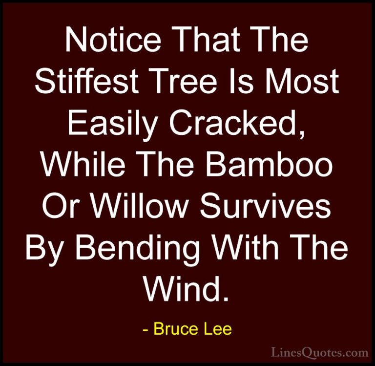 Bruce Lee Quotes (11) - Notice That The Stiffest Tree Is Most Eas... - QuotesNotice That The Stiffest Tree Is Most Easily Cracked, While The Bamboo Or Willow Survives By Bending With The Wind.