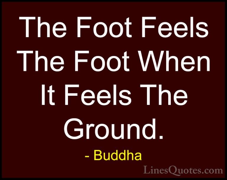Buddha Quotes (23) - The Foot Feels The Foot When It Feels The Gr... - QuotesThe Foot Feels The Foot When It Feels The Ground.