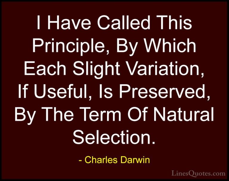 Charles Darwin Quotes (15) - I Have Called This Principle, By Whi... - QuotesI Have Called This Principle, By Which Each Slight Variation, If Useful, Is Preserved, By The Term Of Natural Selection.
