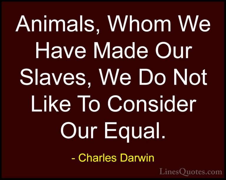 Charles Darwin Quotes (2) - Animals, Whom We Have Made Our Slaves... - QuotesAnimals, Whom We Have Made Our Slaves, We Do Not Like To Consider Our Equal.
