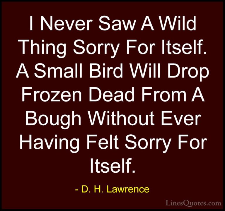 D. H. Lawrence Quotes (1) - I Never Saw A Wild Thing Sorry For It... - QuotesI Never Saw A Wild Thing Sorry For Itself. A Small Bird Will Drop Frozen Dead From A Bough Without Ever Having Felt Sorry For Itself.