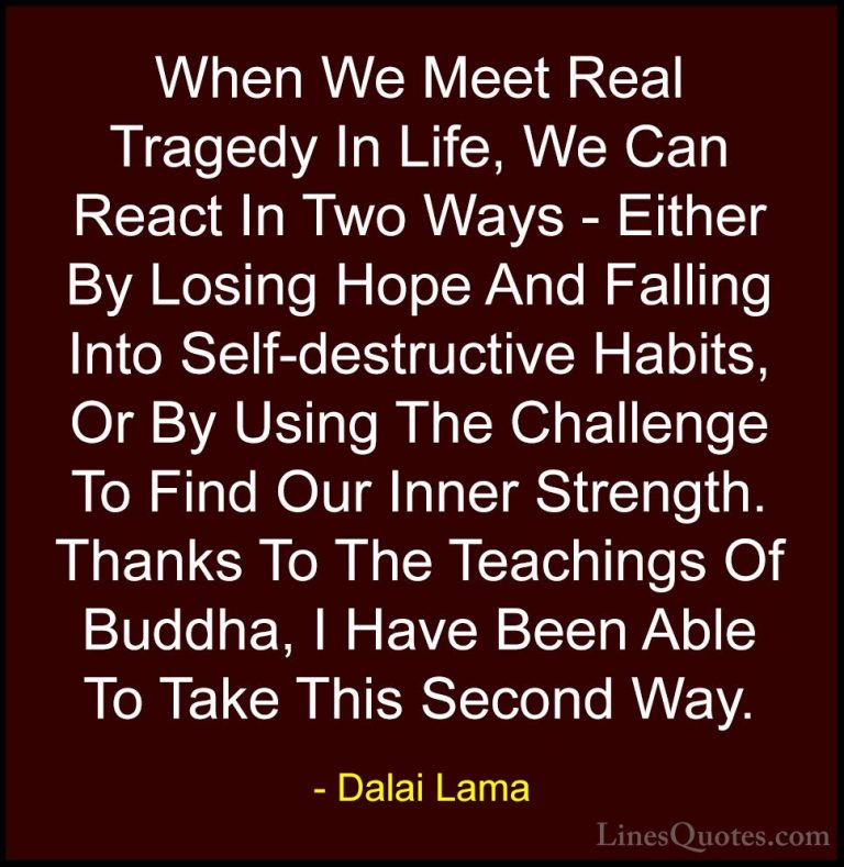 Dalai Lama Quotes (8) - When We Meet Real Tragedy In Life, We Can... - QuotesWhen We Meet Real Tragedy In Life, We Can React In Two Ways - Either By Losing Hope And Falling Into Self-destructive Habits, Or By Using The Challenge To Find Our Inner Strength. Thanks To The Teachings Of Buddha, I Have Been Able To Take This Second Way.