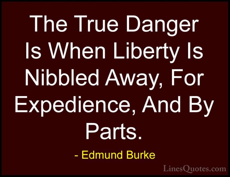Edmund Burke Quotes (76) - The True Danger Is When Liberty Is Nib... - QuotesThe True Danger Is When Liberty Is Nibbled Away, For Expedience, And By Parts.