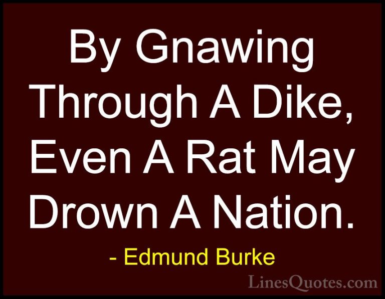 Edmund Burke Quotes (81) - By Gnawing Through A Dike, Even A Rat ... - QuotesBy Gnawing Through A Dike, Even A Rat May Drown A Nation.