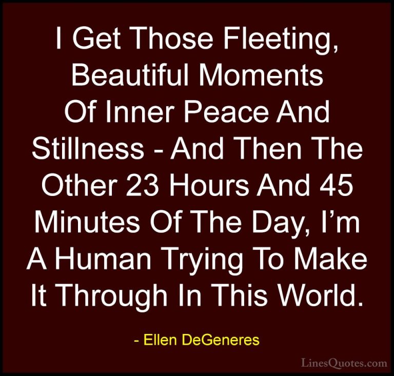 Ellen DeGeneres Quotes (8) - I Get Those Fleeting, Beautiful Mome... - QuotesI Get Those Fleeting, Beautiful Moments Of Inner Peace And Stillness - And Then The Other 23 Hours And 45 Minutes Of The Day, I'm A Human Trying To Make It Through In This World.