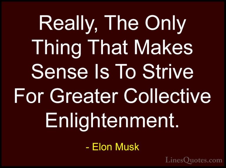 Elon Musk Quotes (23) - Really, The Only Thing That Makes Sense I... - QuotesReally, The Only Thing That Makes Sense Is To Strive For Greater Collective Enlightenment.