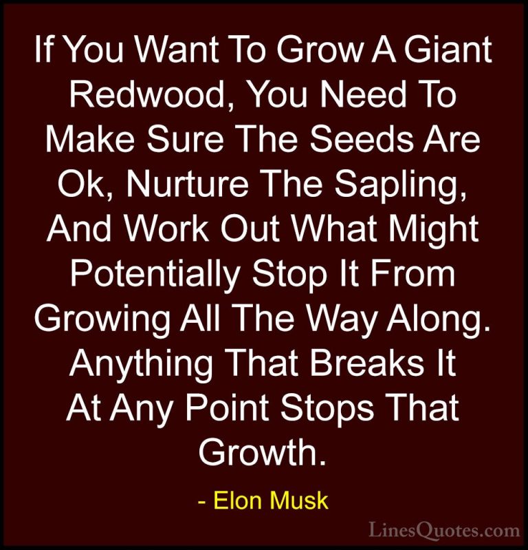 Elon Musk Quotes (9) - If You Want To Grow A Giant Redwood, You N... - QuotesIf You Want To Grow A Giant Redwood, You Need To Make Sure The Seeds Are Ok, Nurture The Sapling, And Work Out What Might Potentially Stop It From Growing All The Way Along. Anything That Breaks It At Any Point Stops That Growth.