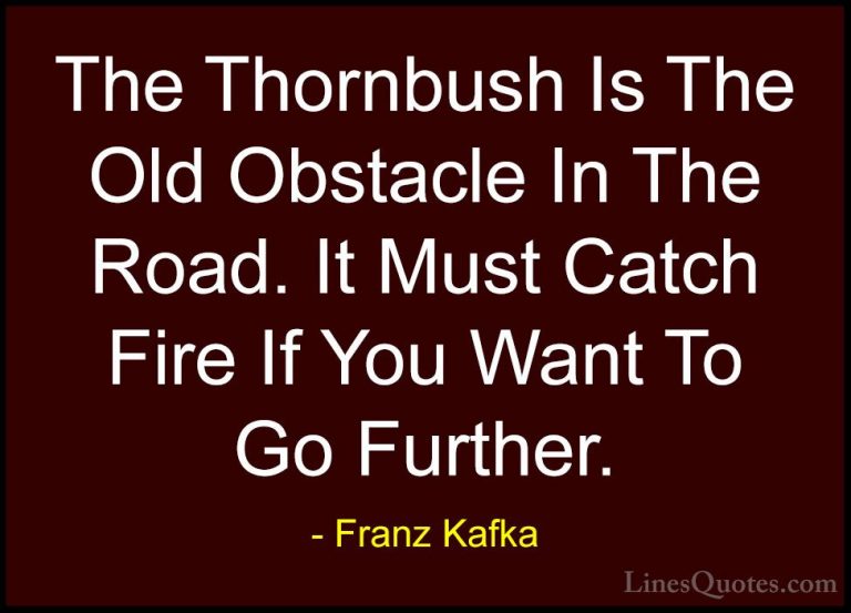 Franz Kafka Quotes (33) - The Thornbush Is The Old Obstacle In Th... - QuotesThe Thornbush Is The Old Obstacle In The Road. It Must Catch Fire If You Want To Go Further.