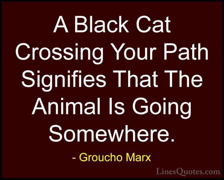 Groucho Marx Quotes (30) - A Black Cat Crossing Your Path Signifi... - QuotesA Black Cat Crossing Your Path Signifies That The Animal Is Going Somewhere.