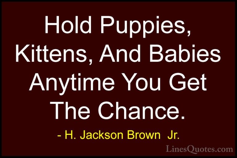 H. Jackson Brown  Jr. Quotes (60) - Hold Puppies, Kittens, And Ba... - QuotesHold Puppies, Kittens, And Babies Anytime You Get The Chance.