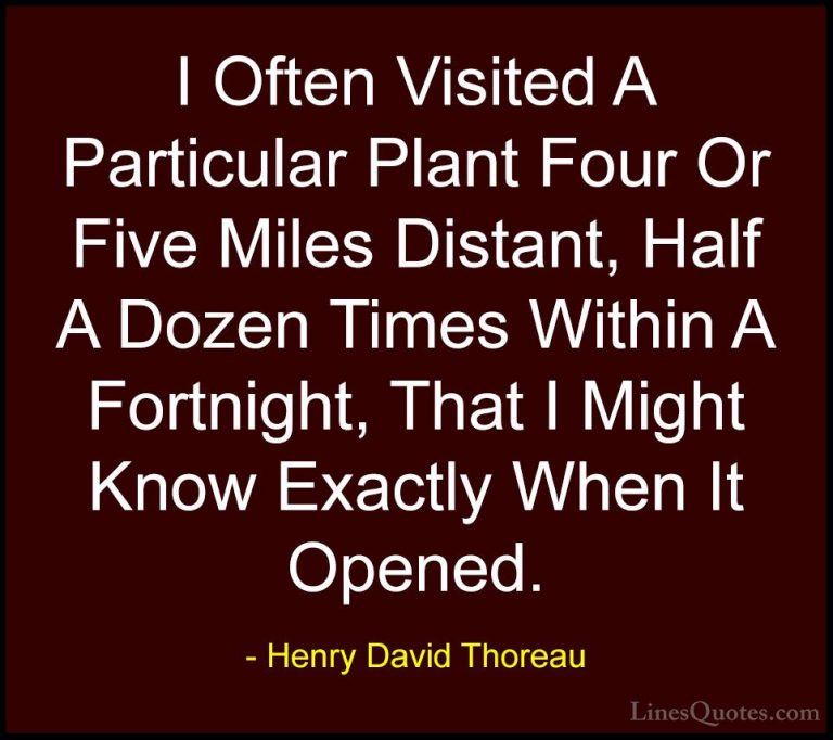 Henry David Thoreau Quotes (211) - I Often Visited A Particular P... - QuotesI Often Visited A Particular Plant Four Or Five Miles Distant, Half A Dozen Times Within A Fortnight, That I Might Know Exactly When It Opened.