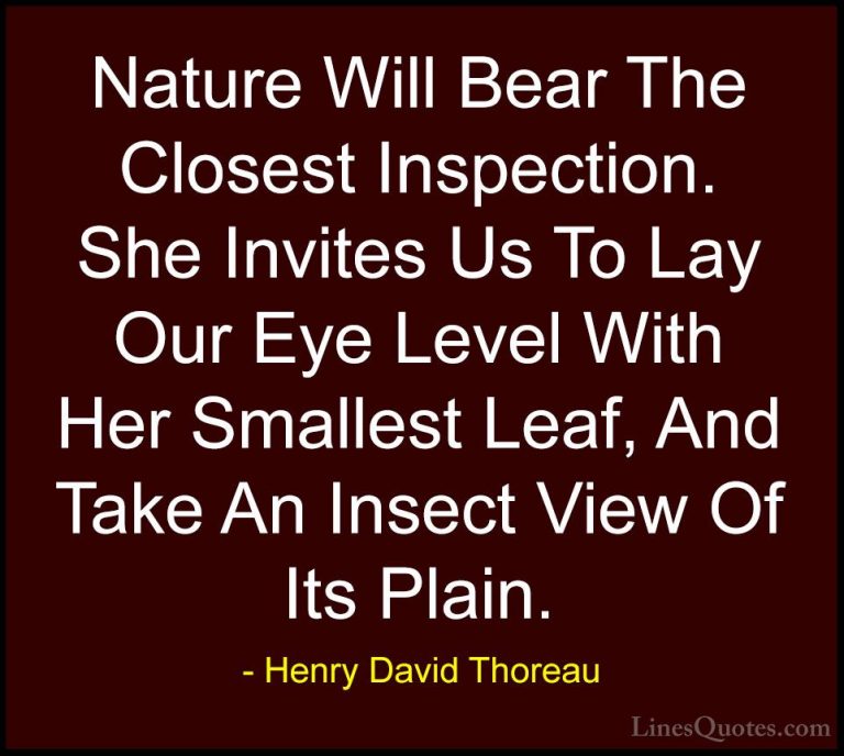 Henry David Thoreau Quotes (31) - Nature Will Bear The Closest In... - QuotesNature Will Bear The Closest Inspection. She Invites Us To Lay Our Eye Level With Her Smallest Leaf, And Take An Insect View Of Its Plain.