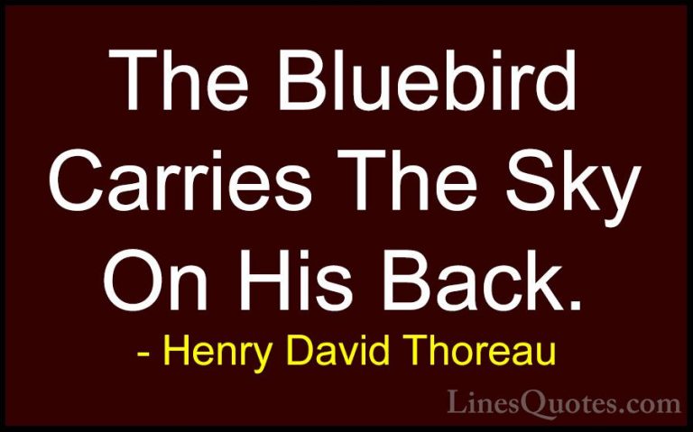 Henry David Thoreau Quotes (37) - The Bluebird Carries The Sky On... - QuotesThe Bluebird Carries The Sky On His Back.