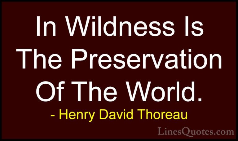 Henry David Thoreau Quotes (82) - In Wildness Is The Preservation... - QuotesIn Wildness Is The Preservation Of The World.