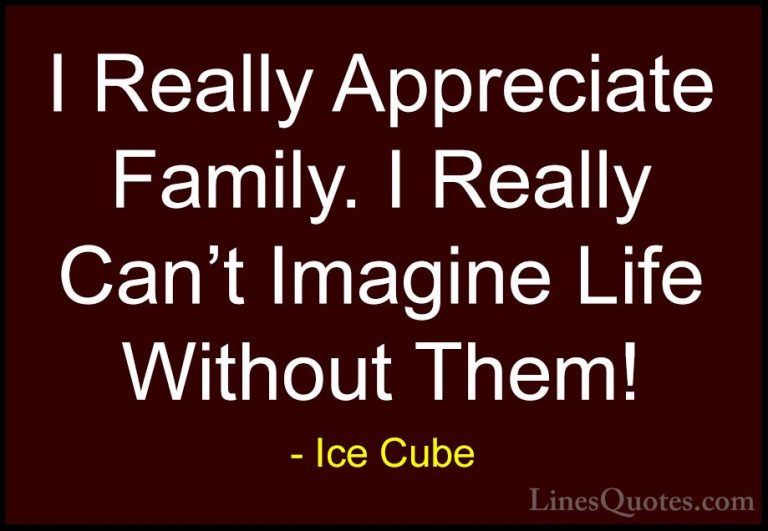 Ice Cube Quotes (58) - I Really Appreciate Family. I Really Can't... - QuotesI Really Appreciate Family. I Really Can't Imagine Life Without Them!
