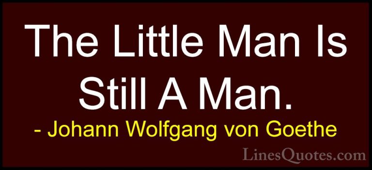 Johann Wolfgang von Goethe Quotes (155) - The Little Man Is Still... - QuotesThe Little Man Is Still A Man.