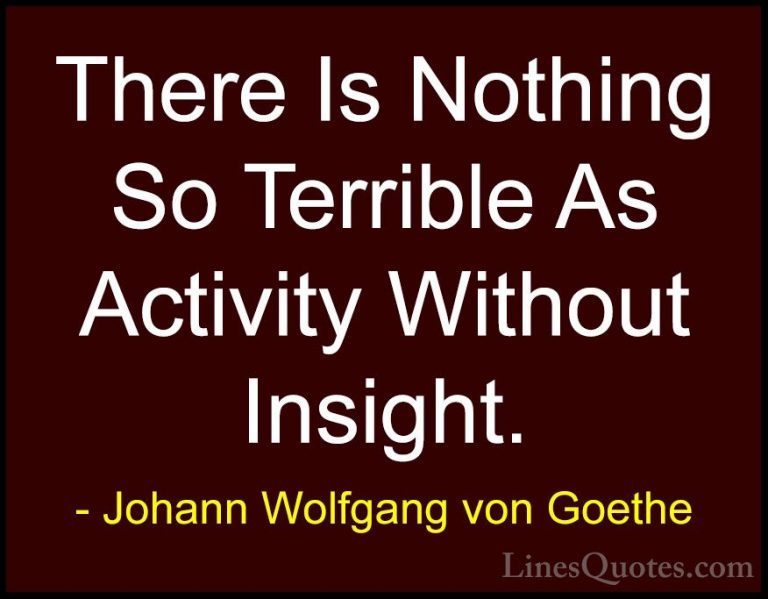 Johann Wolfgang von Goethe Quotes (243) - There Is Nothing So Ter... - QuotesThere Is Nothing So Terrible As Activity Without Insight.