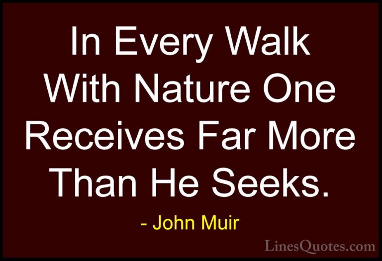 John Muir Quotes (10) - In Every Walk With Nature One Receives Fa... - QuotesIn Every Walk With Nature One Receives Far More Than He Seeks.