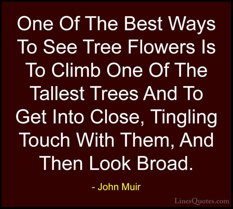 John Muir Quotes (103) - One Of The Best Ways To See Tree Flowers... - QuotesOne Of The Best Ways To See Tree Flowers Is To Climb One Of The Tallest Trees And To Get Into Close, Tingling Touch With Them, And Then Look Broad.