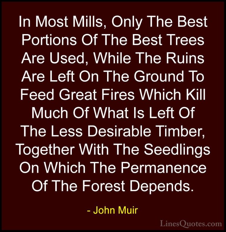 John Muir Quotes (111) - In Most Mills, Only The Best Portions Of... - QuotesIn Most Mills, Only The Best Portions Of The Best Trees Are Used, While The Ruins Are Left On The Ground To Feed Great Fires Which Kill Much Of What Is Left Of The Less Desirable Timber, Together With The Seedlings On Which The Permanence Of The Forest Depends.