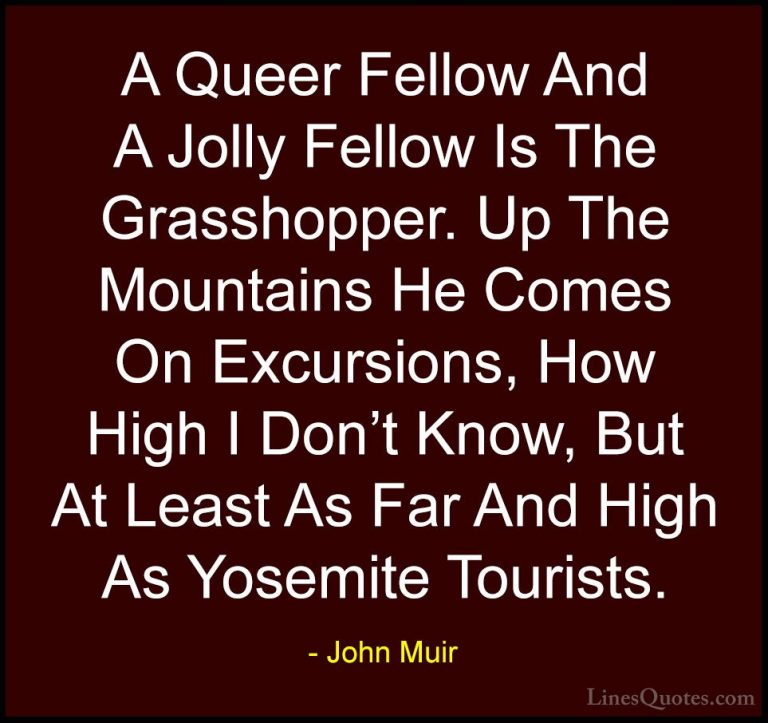 John Muir Quotes (117) - A Queer Fellow And A Jolly Fellow Is The... - QuotesA Queer Fellow And A Jolly Fellow Is The Grasshopper. Up The Mountains He Comes On Excursions, How High I Don't Know, But At Least As Far And High As Yosemite Tourists.