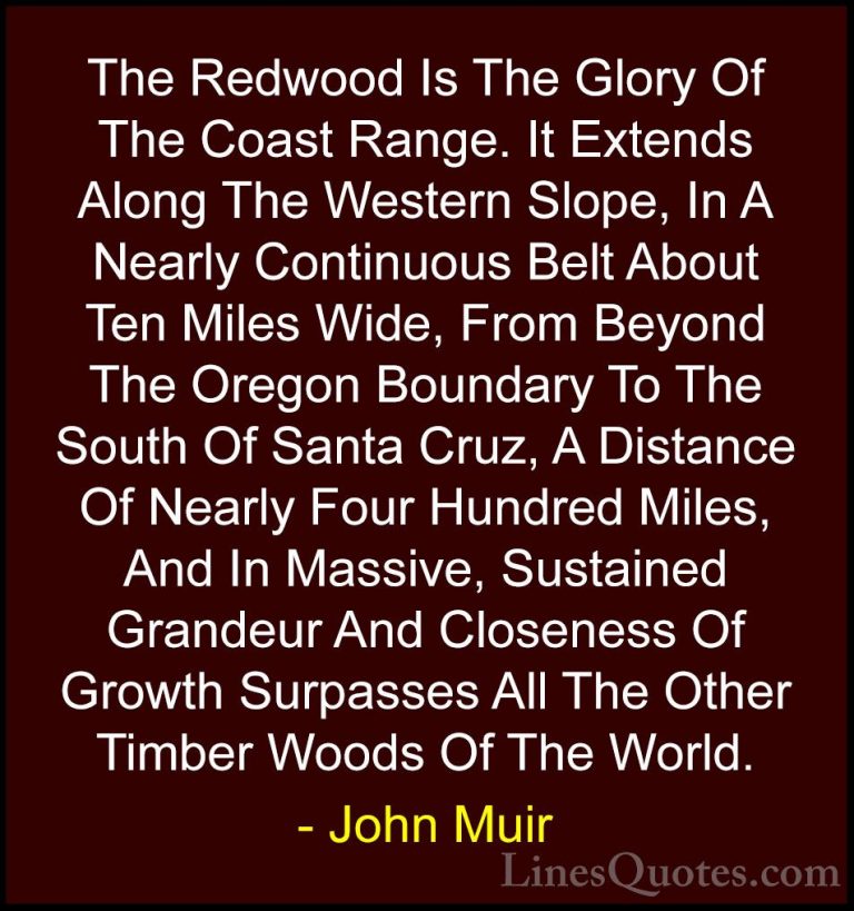 John Muir Quotes (12) - The Redwood Is The Glory Of The Coast Ran... - QuotesThe Redwood Is The Glory Of The Coast Range. It Extends Along The Western Slope, In A Nearly Continuous Belt About Ten Miles Wide, From Beyond The Oregon Boundary To The South Of Santa Cruz, A Distance Of Nearly Four Hundred Miles, And In Massive, Sustained Grandeur And Closeness Of Growth Surpasses All The Other Timber Woods Of The World.