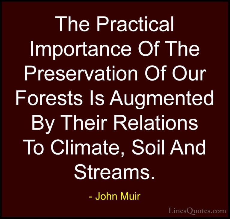 John Muir Quotes (120) - The Practical Importance Of The Preserva... - QuotesThe Practical Importance Of The Preservation Of Our Forests Is Augmented By Their Relations To Climate, Soil And Streams.