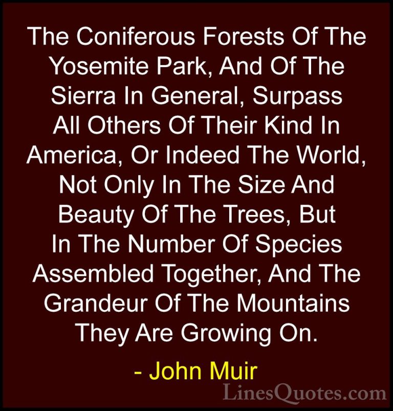 John Muir Quotes (121) - The Coniferous Forests Of The Yosemite P... - QuotesThe Coniferous Forests Of The Yosemite Park, And Of The Sierra In General, Surpass All Others Of Their Kind In America, Or Indeed The World, Not Only In The Size And Beauty Of The Trees, But In The Number Of Species Assembled Together, And The Grandeur Of The Mountains They Are Growing On.