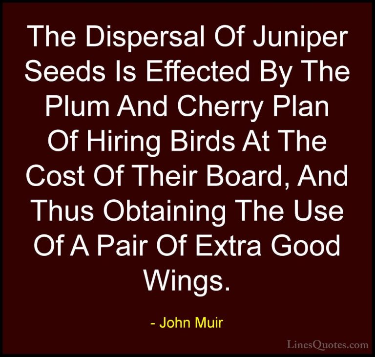 John Muir Quotes (123) - The Dispersal Of Juniper Seeds Is Effect... - QuotesThe Dispersal Of Juniper Seeds Is Effected By The Plum And Cherry Plan Of Hiring Birds At The Cost Of Their Board, And Thus Obtaining The Use Of A Pair Of Extra Good Wings.