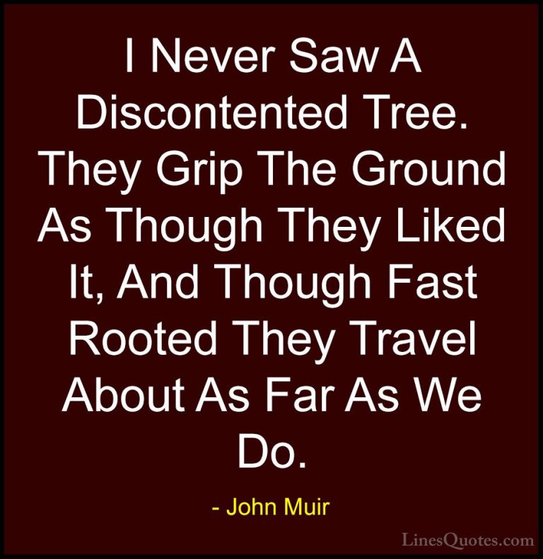 John Muir Quotes (15) - I Never Saw A Discontented Tree. They Gri... - QuotesI Never Saw A Discontented Tree. They Grip The Ground As Though They Liked It, And Though Fast Rooted They Travel About As Far As We Do.