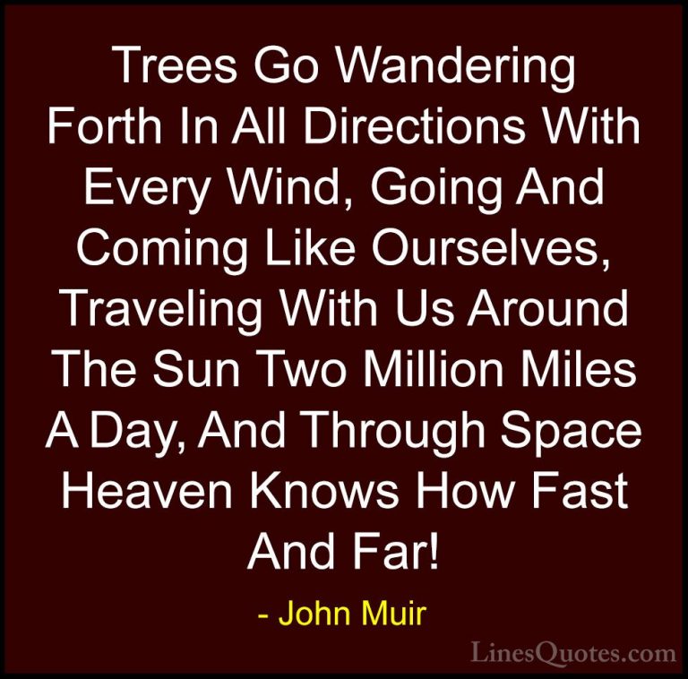 John Muir Quotes (17) - Trees Go Wandering Forth In All Direction... - QuotesTrees Go Wandering Forth In All Directions With Every Wind, Going And Coming Like Ourselves, Traveling With Us Around The Sun Two Million Miles A Day, And Through Space Heaven Knows How Fast And Far!