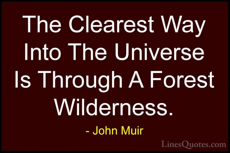 John Muir Quotes (2) - The Clearest Way Into The Universe Is Thro... - QuotesThe Clearest Way Into The Universe Is Through A Forest Wilderness.