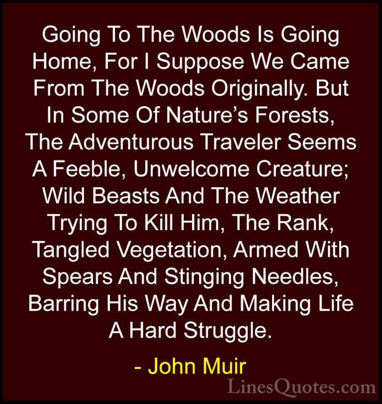 John Muir Quotes (30) - Going To The Woods Is Going Home, For I S... - QuotesGoing To The Woods Is Going Home, For I Suppose We Came From The Woods Originally. But In Some Of Nature's Forests, The Adventurous Traveler Seems A Feeble, Unwelcome Creature; Wild Beasts And The Weather Trying To Kill Him, The Rank, Tangled Vegetation, Armed With Spears And Stinging Needles, Barring His Way And Making Life A Hard Struggle.