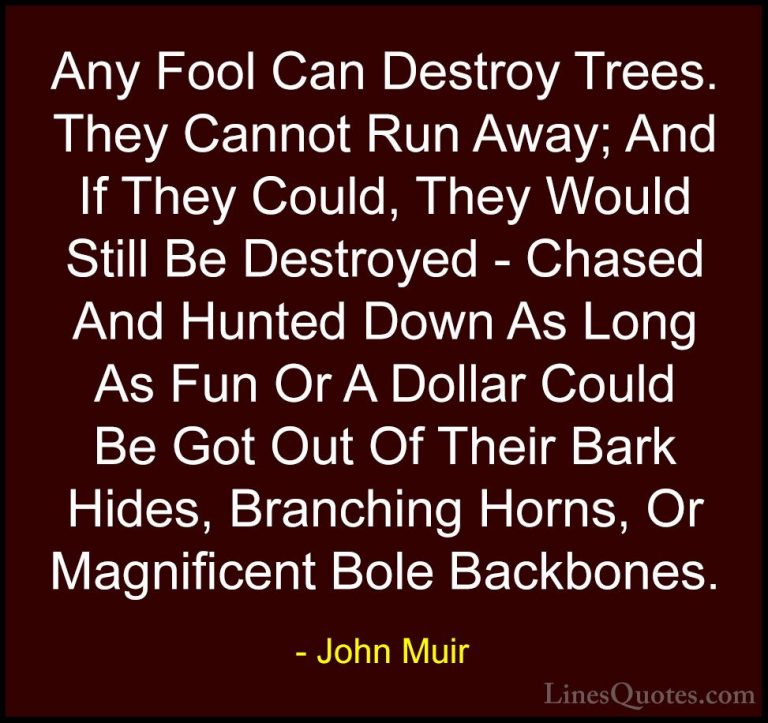 John Muir Quotes (34) - Any Fool Can Destroy Trees. They Cannot R... - QuotesAny Fool Can Destroy Trees. They Cannot Run Away; And If They Could, They Would Still Be Destroyed - Chased And Hunted Down As Long As Fun Or A Dollar Could Be Got Out Of Their Bark Hides, Branching Horns, Or Magnificent Bole Backbones.