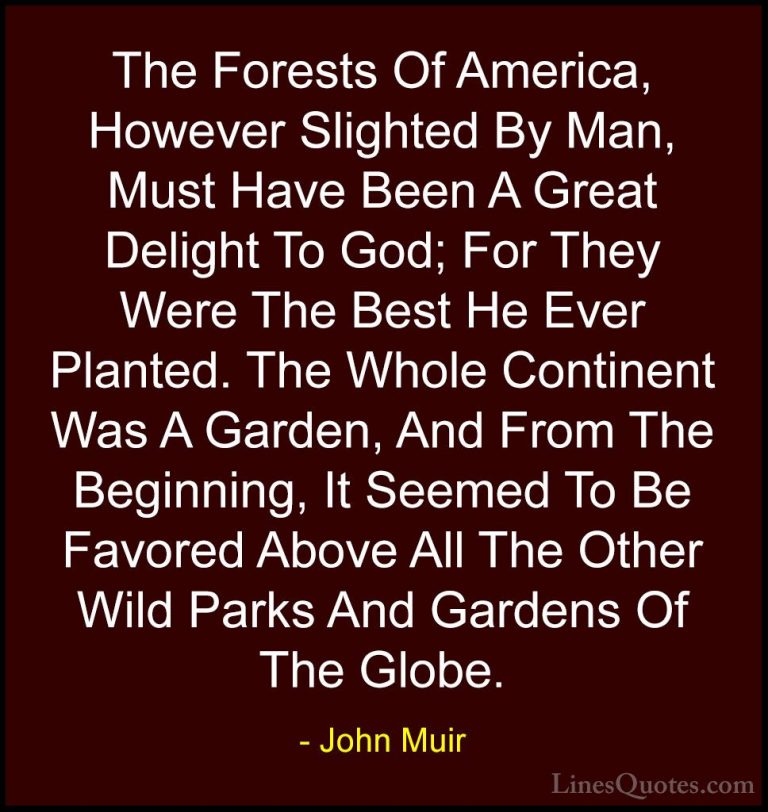 John Muir Quotes (41) - The Forests Of America, However Slighted ... - QuotesThe Forests Of America, However Slighted By Man, Must Have Been A Great Delight To God; For They Were The Best He Ever Planted. The Whole Continent Was A Garden, And From The Beginning, It Seemed To Be Favored Above All The Other Wild Parks And Gardens Of The Globe.