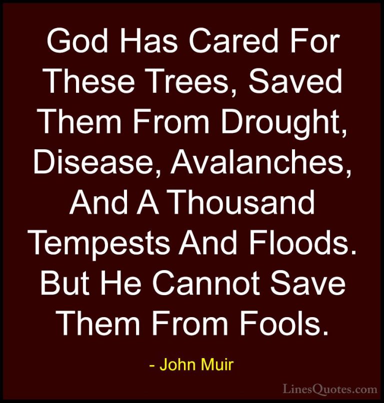 John Muir Quotes (73) - God Has Cared For These Trees, Saved Them... - QuotesGod Has Cared For These Trees, Saved Them From Drought, Disease, Avalanches, And A Thousand Tempests And Floods. But He Cannot Save Them From Fools.