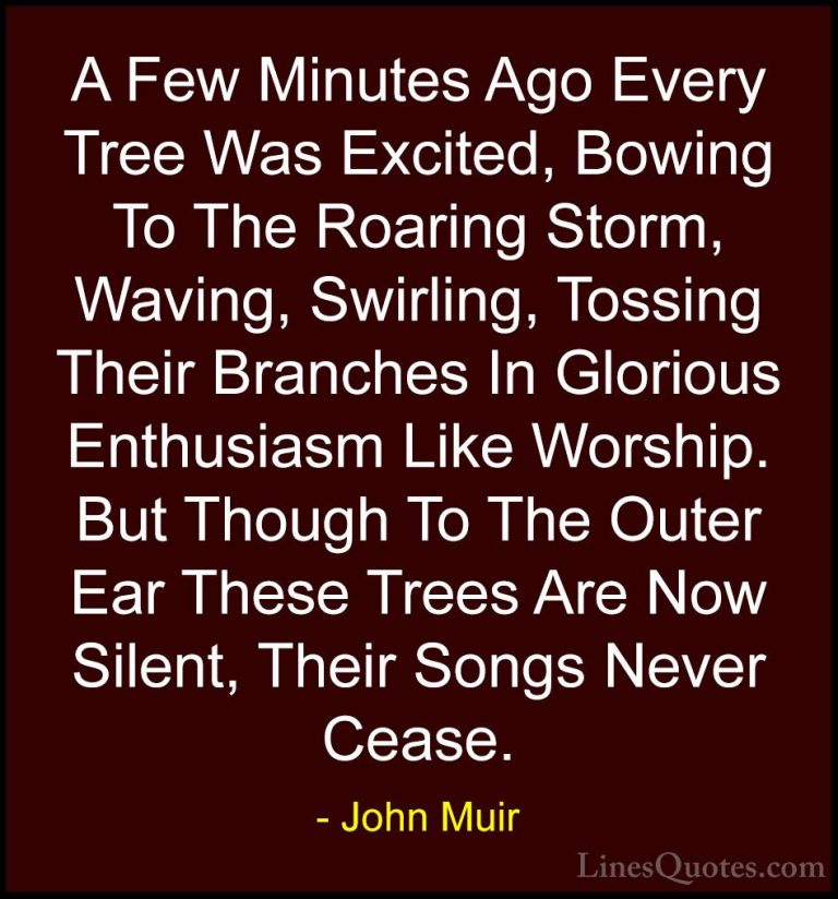 John Muir Quotes (81) - A Few Minutes Ago Every Tree Was Excited,... - QuotesA Few Minutes Ago Every Tree Was Excited, Bowing To The Roaring Storm, Waving, Swirling, Tossing Their Branches In Glorious Enthusiasm Like Worship. But Though To The Outer Ear These Trees Are Now Silent, Their Songs Never Cease.