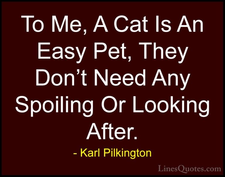 Karl Pilkington Quotes (47) - To Me, A Cat Is An Easy Pet, They D... - QuotesTo Me, A Cat Is An Easy Pet, They Don't Need Any Spoiling Or Looking After.