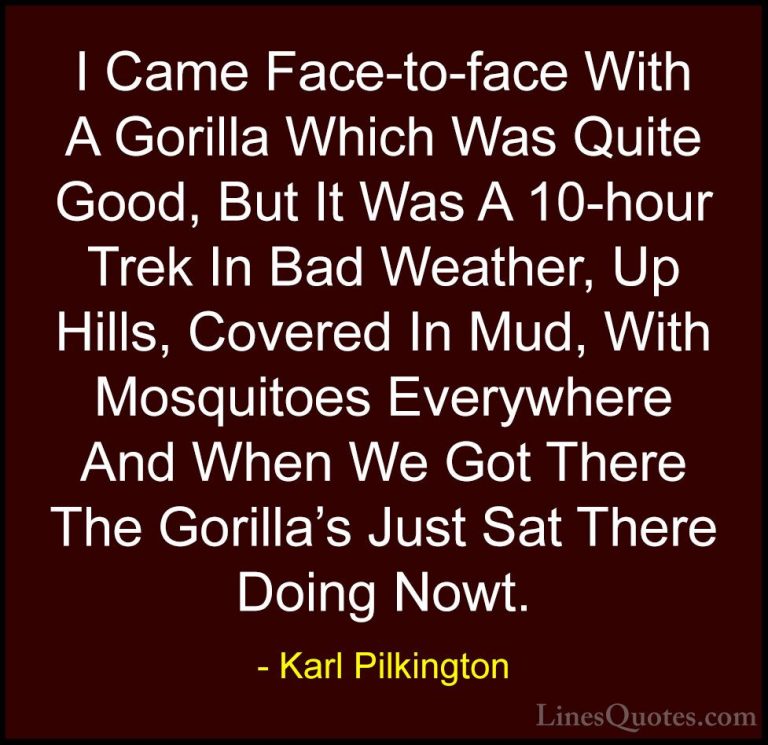 Karl Pilkington Quotes (6) - I Came Face-to-face With A Gorilla W... - QuotesI Came Face-to-face With A Gorilla Which Was Quite Good, But It Was A 10-hour Trek In Bad Weather, Up Hills, Covered In Mud, With Mosquitoes Everywhere And When We Got There The Gorilla's Just Sat There Doing Nowt.