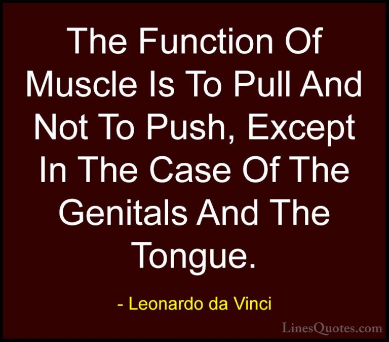 Leonardo da Vinci Quotes (78) - The Function Of Muscle Is To Pull... - QuotesThe Function Of Muscle Is To Pull And Not To Push, Except In The Case Of The Genitals And The Tongue.