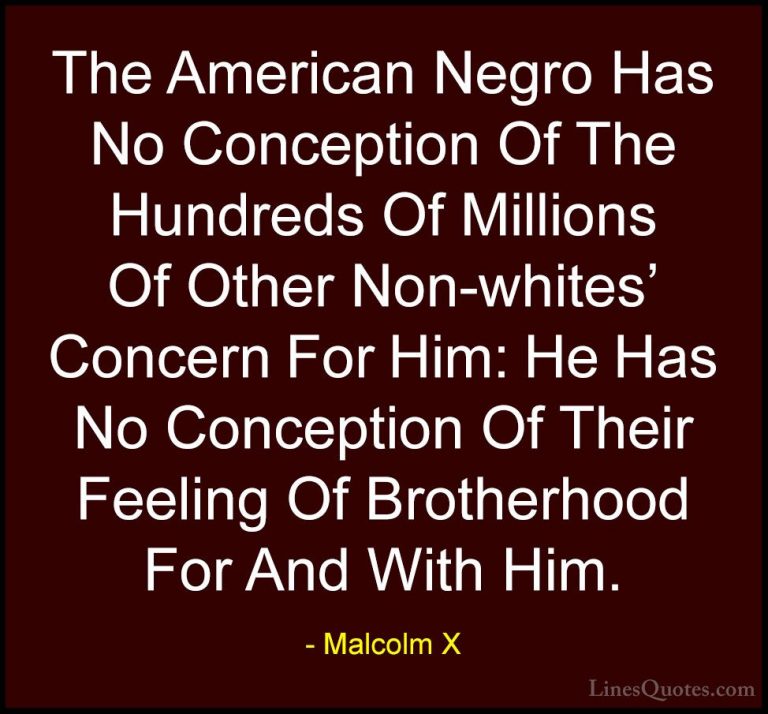 Malcolm X Quotes (40) - The American Negro Has No Conception Of T... - QuotesThe American Negro Has No Conception Of The Hundreds Of Millions Of Other Non-whites' Concern For Him: He Has No Conception Of Their Feeling Of Brotherhood For And With Him.