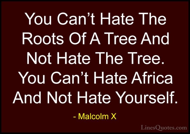 Malcolm X Quotes (57) - You Can't Hate The Roots Of A Tree And No... - QuotesYou Can't Hate The Roots Of A Tree And Not Hate The Tree. You Can't Hate Africa And Not Hate Yourself.