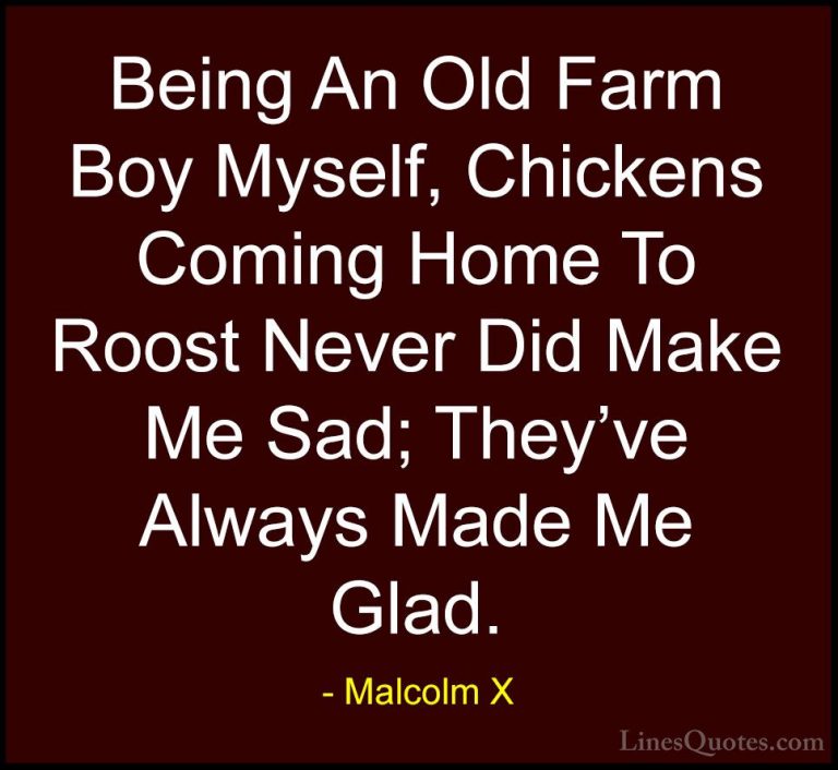 Malcolm X Quotes (64) - Being An Old Farm Boy Myself, Chickens Co... - QuotesBeing An Old Farm Boy Myself, Chickens Coming Home To Roost Never Did Make Me Sad; They've Always Made Me Glad.