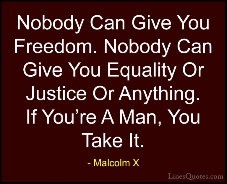 Malcolm X Quotes (7) - Nobody Can Give You Freedom. Nobody Can Gi... - QuotesNobody Can Give You Freedom. Nobody Can Give You Equality Or Justice Or Anything. If You're A Man, You Take It.
