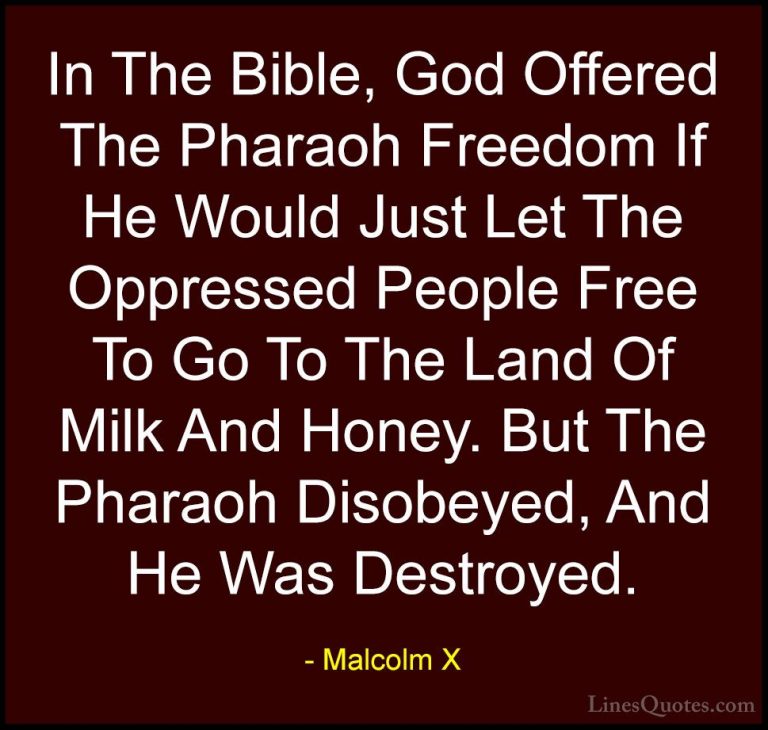 Malcolm X Quotes (93) - In The Bible, God Offered The Pharaoh Fre... - QuotesIn The Bible, God Offered The Pharaoh Freedom If He Would Just Let The Oppressed People Free To Go To The Land Of Milk And Honey. But The Pharaoh Disobeyed, And He Was Destroyed.